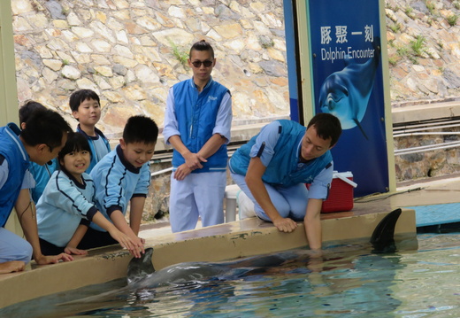 同學可親手摸摸海豚