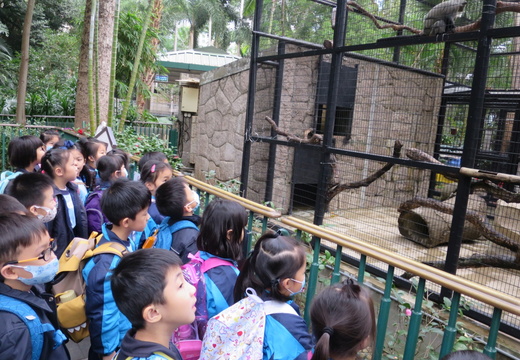 一年級：香港動植物公園(動物園)或獅子會自然教育中心